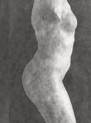 Rodin: Photographs by Emmanuel Berry by Rodin, Auguste