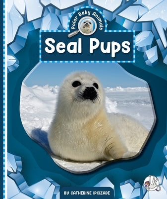Seal Pups by Ipcizade, Catherine