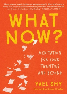 What Now?: Meditation for Your Twenties and Beyond by Shy, Yael