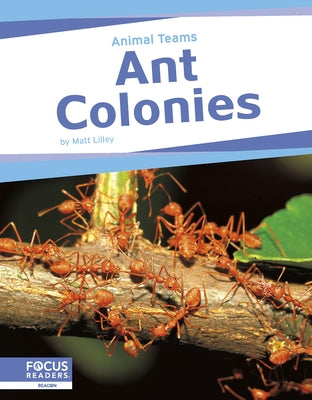 Ant Colonies by Lilley, Matt
