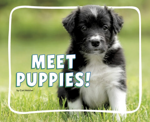Meet Puppies! by Meister, Cari