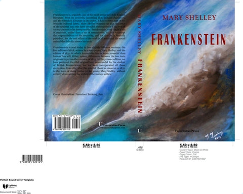 Frankenstein by Hunt, Sylvia