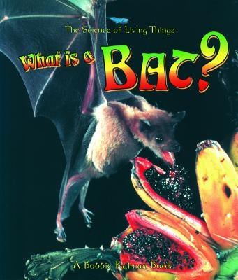 What Is a Bat? by Kalman, Bobbie