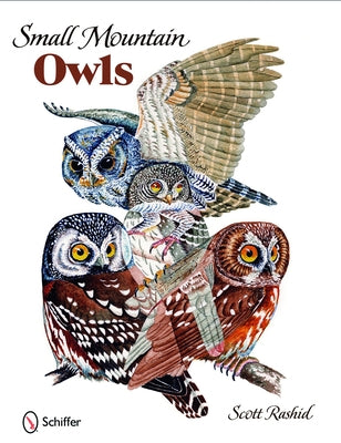 Small Mountain Owls by Rashid, Scott