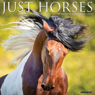 Horses 2026 12 X 12 Wall Calendar by Willow Creek Press
