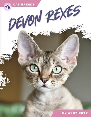 Devon Rexes by Doty, Abby