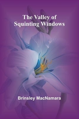 The Valley of Squinting Windows by MacNamara, Brinsley