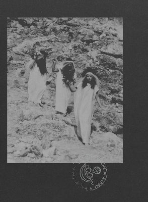 Le Nemesiache: Reclaiming Mythological Rituals by D'Alto, Sonia
