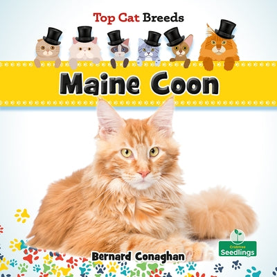 Maine Coon by Conaghan, Bernard