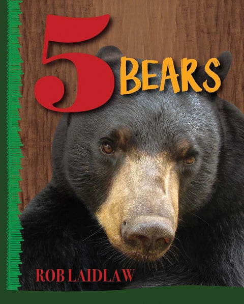 5 Bears: Volume 3 by Laidlaw, Rob