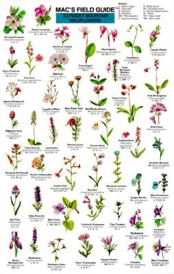 Mac's Field Guides: Rocky Mountain Wildflowers by Macgowan, Craig