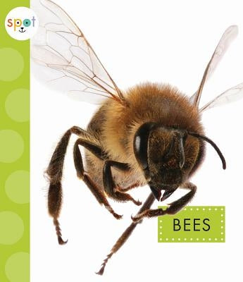 Bees by Black, Nessa
