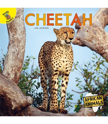 Cheetah by Jackson, Lisa