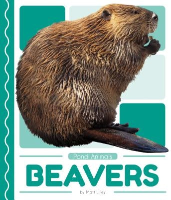 Beavers by Lilley, Matt