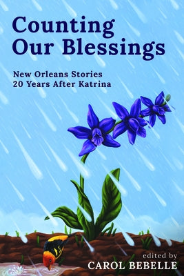 Counting Our Blessings: The Other Katrina Stories by Bebelle, Carol