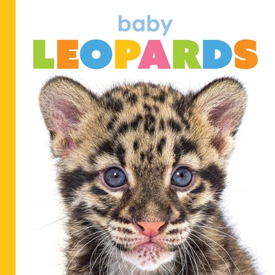 Baby Leopards by Greve, Meg