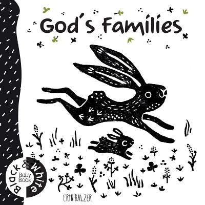 God's Families by Balzer, Erin