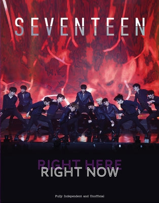 Seventeen by McHugh, Carolyn