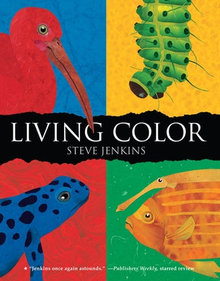 Living Color by Jenkins, Steve