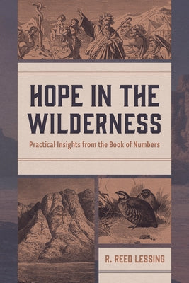 Hope in the Wilderness by Lessing, R. Reed