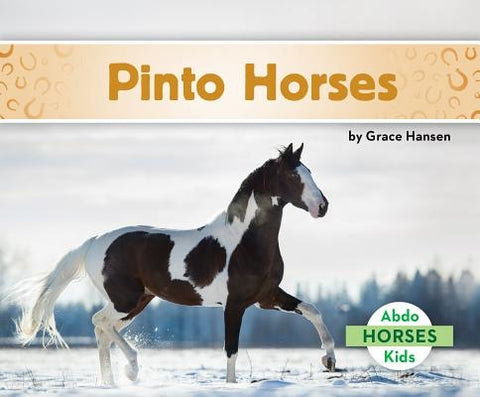 Pinto Horses by Hansen, Grace