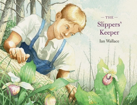 The Slippers' Keeper by Wallace, Ian