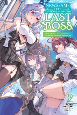New Game Plus After Defeating the Last Boss, Vol. 2 (Light Novel): All These Beautiful, Problematic Girls in the First Town Have Gotten Really Attache by Akatsuki, Touwa