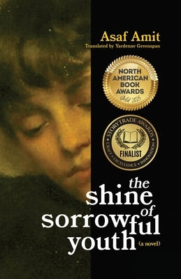 The shine of sorrowful youth by Amit, Asaf