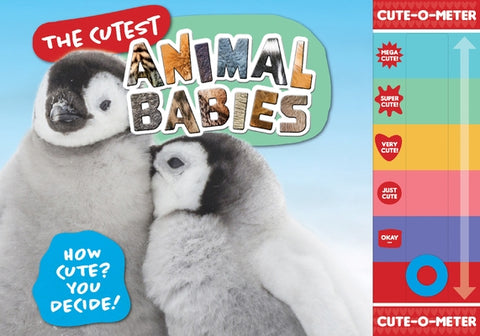 The Cutest Animal Babies: How Cute? You Decide! by Publishing, Welbeck