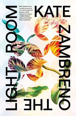 The Light Room by Zambreno, Kate