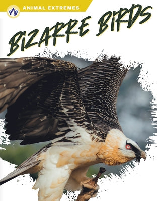 Bizarre Birds by Wilson, Libby
