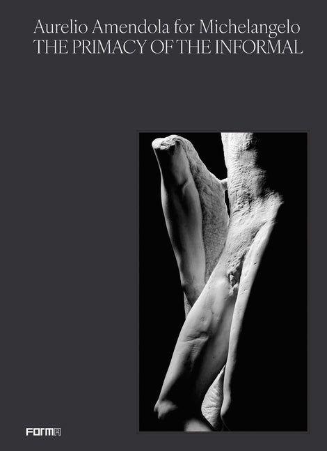 Aurelio Amendola for Michelangelo: The Primacy of the Informal by Amendola, Aurelio