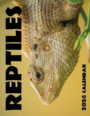 Reptiles 2026 Calendar by Patrick, B.