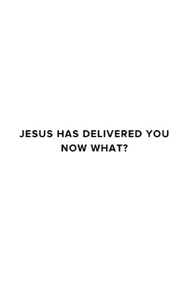 Jesus Has Delivered You (now what?) by Thayer, James M.
