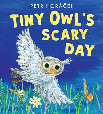 Tiny Owl's Scary Day by HorÃ¡cek, Petr
