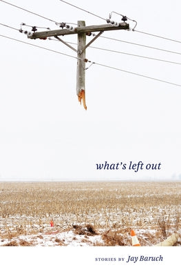 What's Left Out: Stories by Baruch