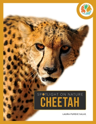 Cheetah by Salas, Laura