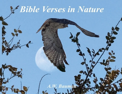 Bible Verses in Nature by Bauman, Andrew