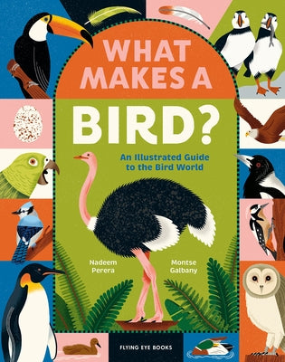 What Makes a Bird?: An Illustrated Guide to the Bird World by Perera, Nadeem