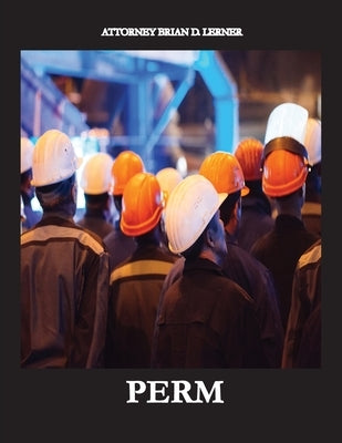 Perm: Electronic Labor Certifications for Employment Petitions by Lerner, Brian D.