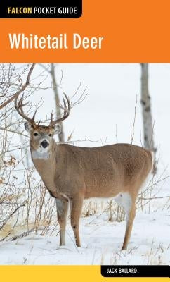 Whitetail Deer by Ballard, Jack