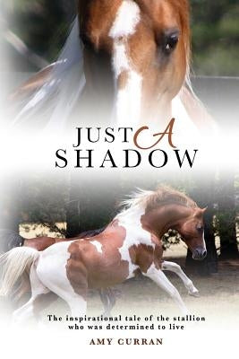 Just A Shadow by Curran, Amy