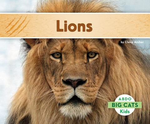 Lions by Archer, Claire