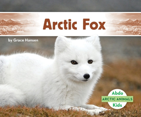 Arctic Fox by Hansen, Grace