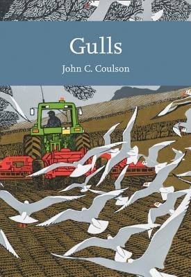 Gulls by Coulson, Professor John C.