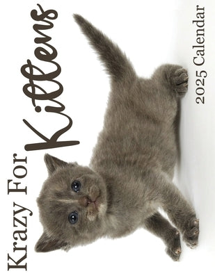 Krazy For Kittens 2025 Calendar: 2025 Calendar by Patrick, B.