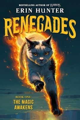 Renegades #1: The Magic Awakens by Hunter, Erin