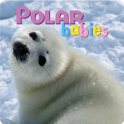 Polar Babies by McCurry, Kristen