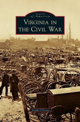 Virginia in the Civil War by D'Arezzo, Joseph A.