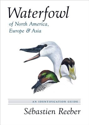 Waterfowl of North America, Europe, and Asia: An Identification Guide by Reeber, Sébastien